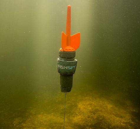 Подводная онлайн камера Fishspy  